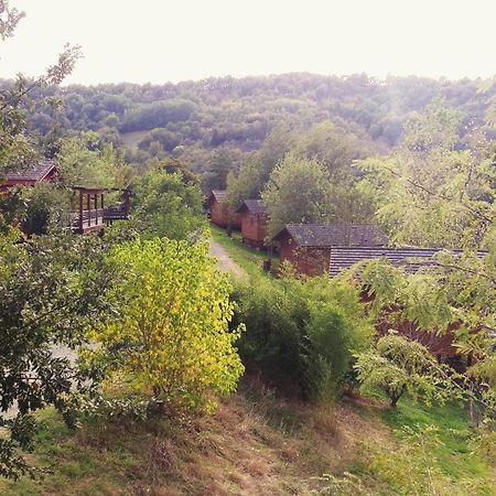 Saint-Cyprien-sur-DourdouLa Ferme Du Duzou别墅 外观 照片