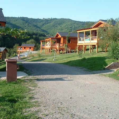 Saint-Cyprien-sur-DourdouLa Ferme Du Duzou别墅 外观 照片