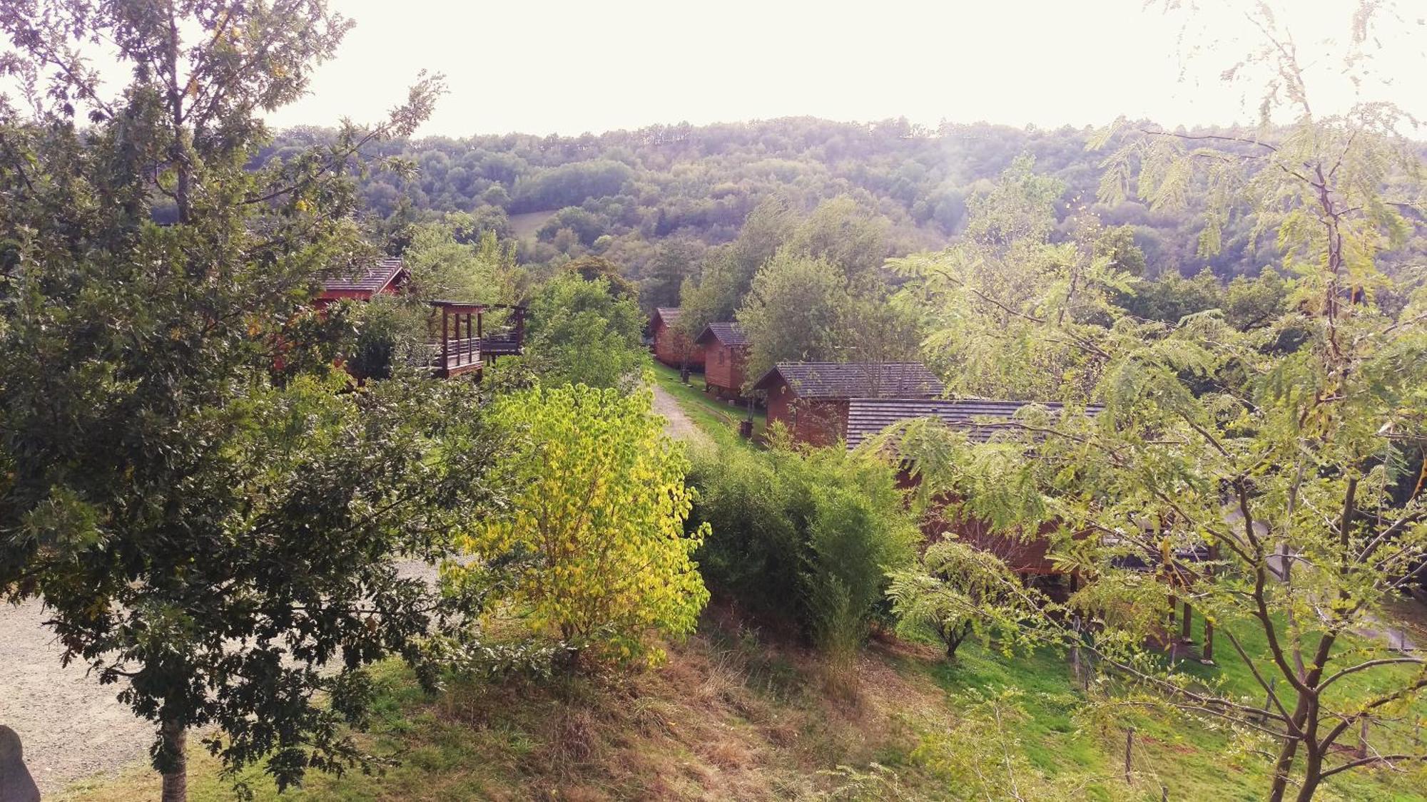 Saint-Cyprien-sur-DourdouLa Ferme Du Duzou别墅 外观 照片