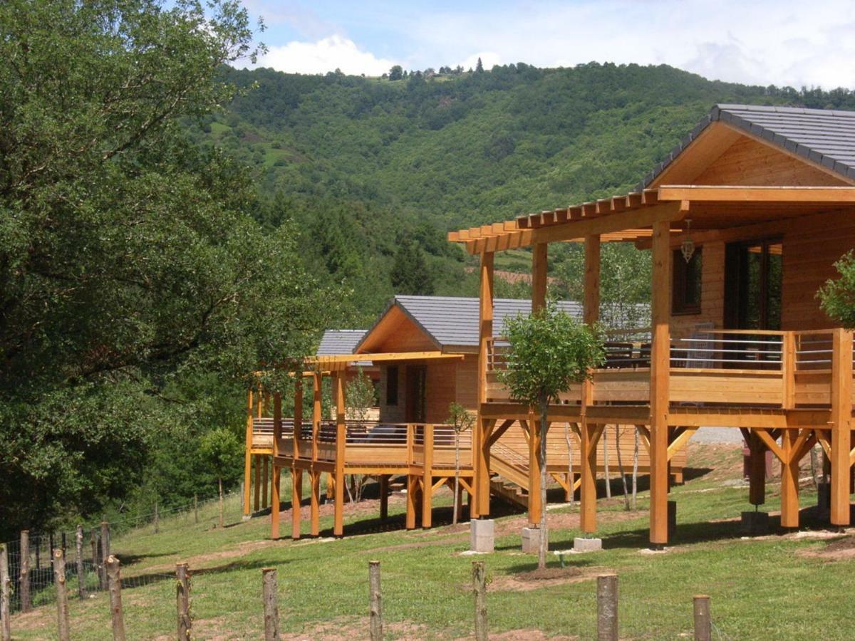 Saint-Cyprien-sur-DourdouLa Ferme Du Duzou别墅 外观 照片