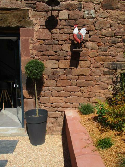 Saint-Cyprien-sur-DourdouLa Ferme Du Duzou别墅 外观 照片